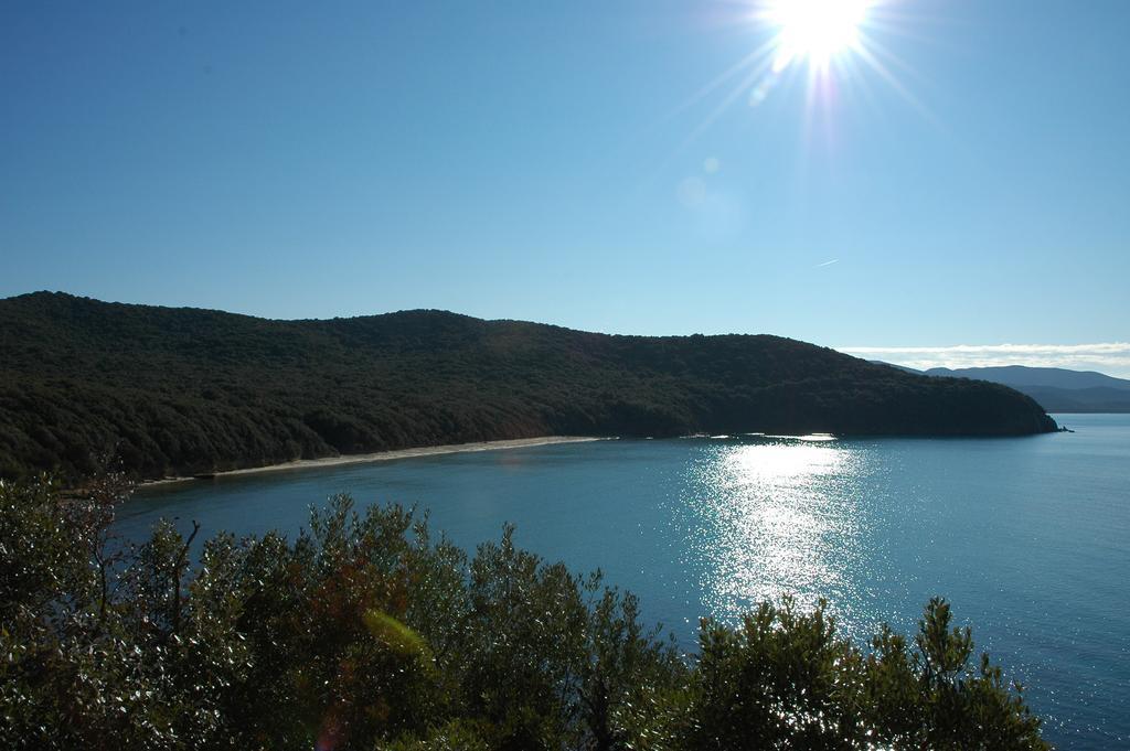 Agriturismo Le Piane Del Milia Suvereto Eksteriør billede