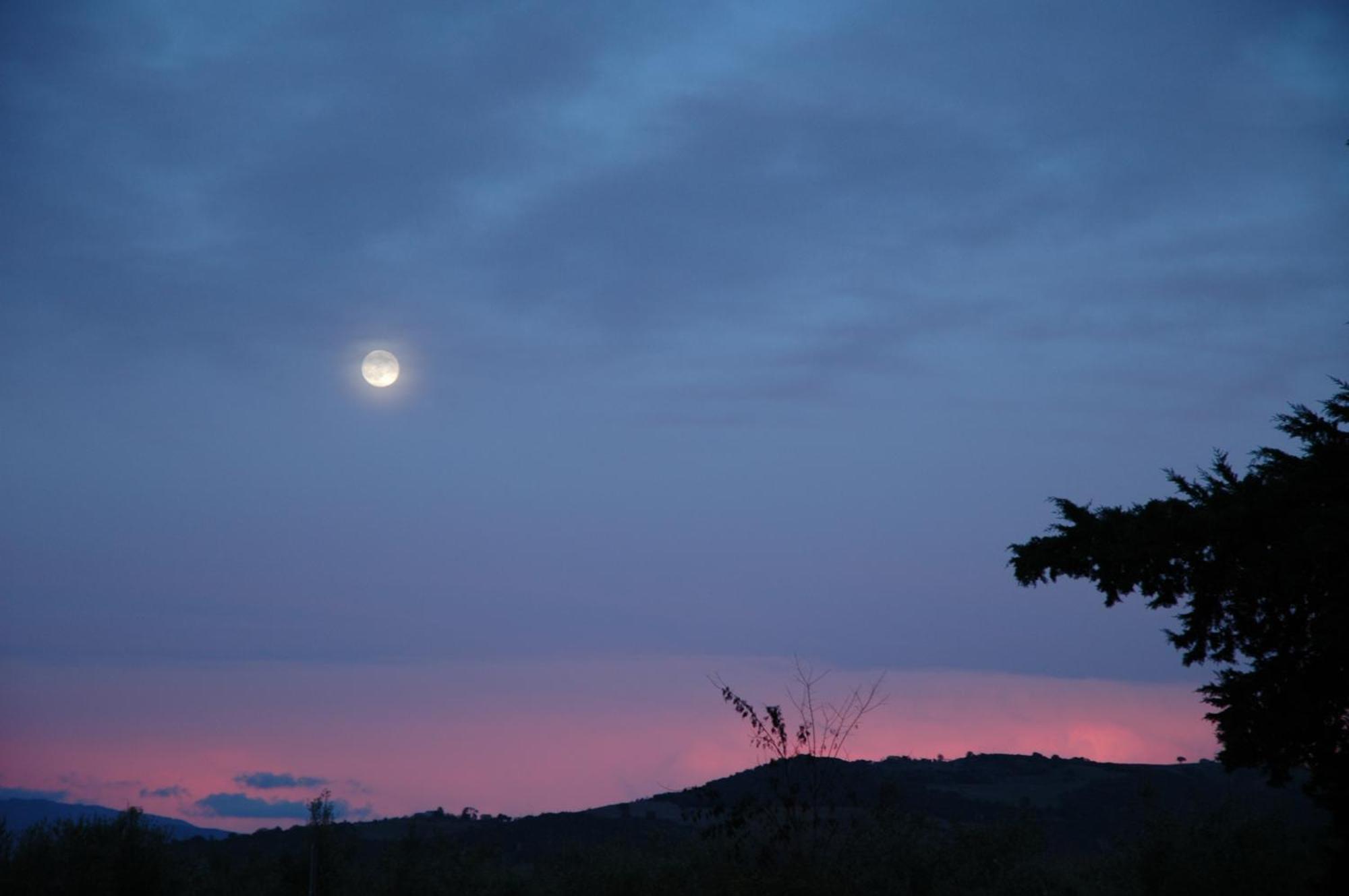 Agriturismo Le Piane Del Milia Suvereto Eksteriør billede