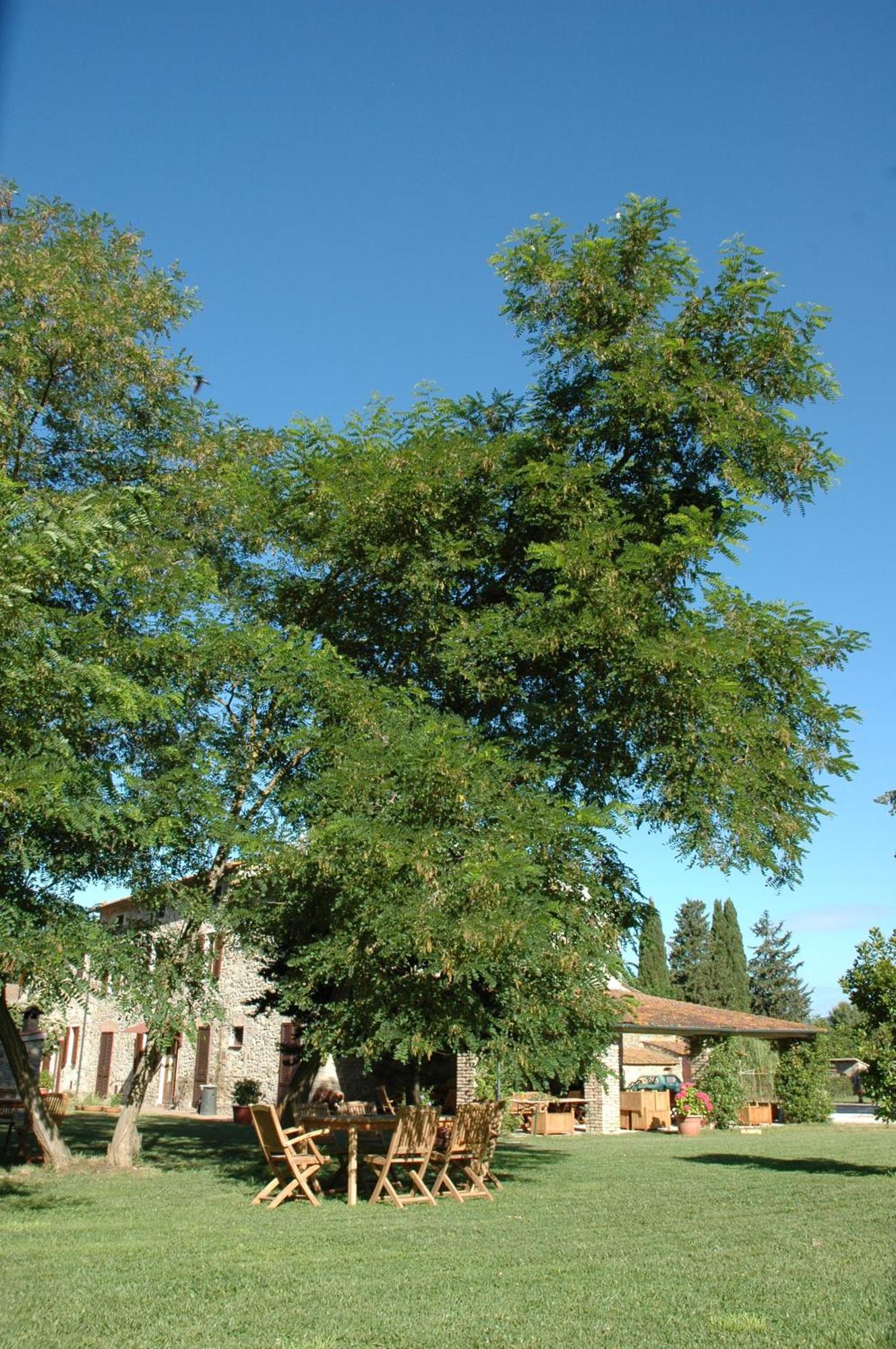 Agriturismo Le Piane Del Milia Suvereto Eksteriør billede