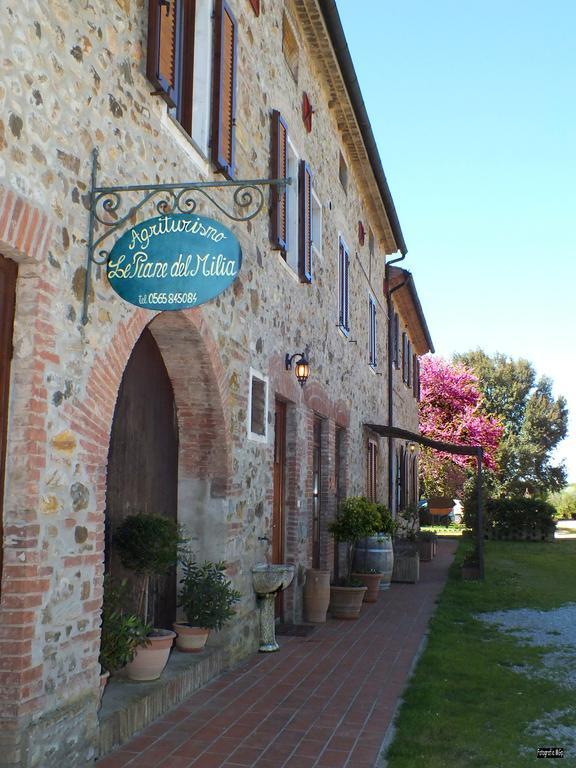 Agriturismo Le Piane Del Milia Suvereto Eksteriør billede